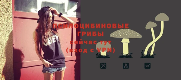 гидра Строитель