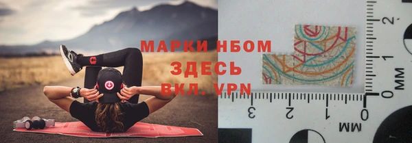 шишки Тайга