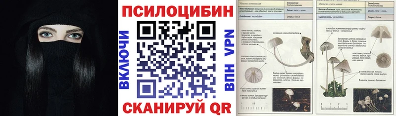 Купить  Черняховск  Псилоцибиновые грибы Psilocybe 
